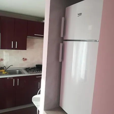 Anastasia Pensjonat Truskawiec